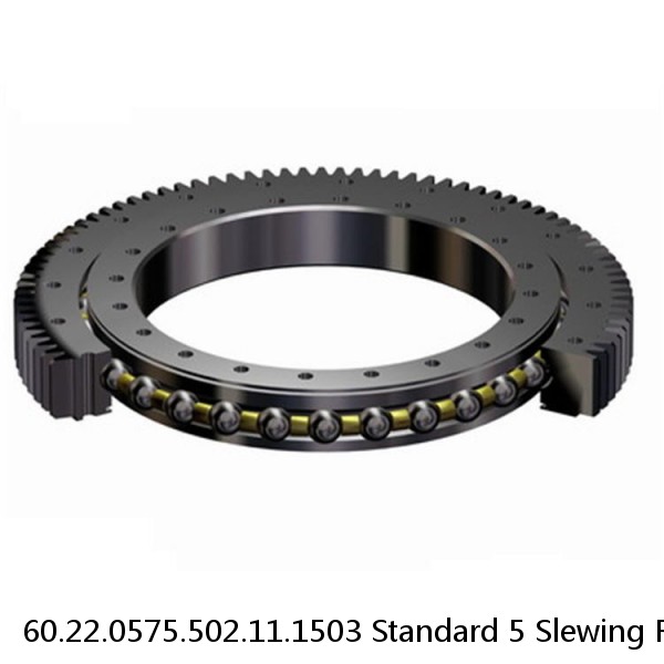 60.22.0575.502.11.1503 Standard 5 Slewing Ring Bearings