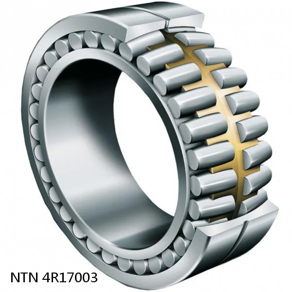 4R17003 NTN Cylindrical Roller Bearing