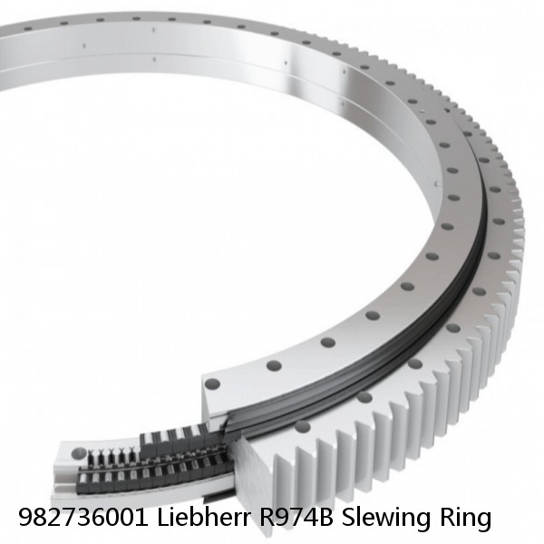 982736001 Liebherr R974B Slewing Ring