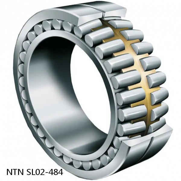 SL02-484 NTN Cylindrical Roller Bearing