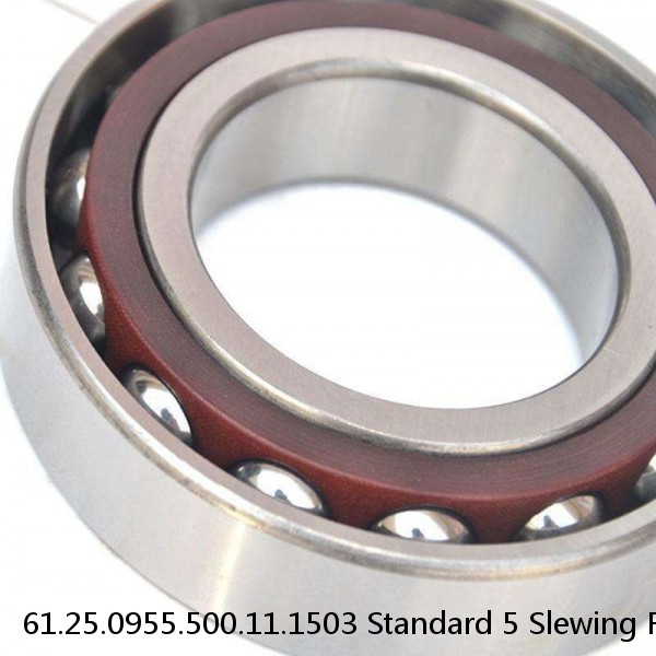 61.25.0955.500.11.1503 Standard 5 Slewing Ring Bearings