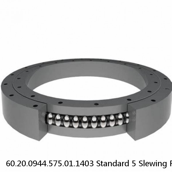 60.20.0944.575.01.1403 Standard 5 Slewing Ring Bearings