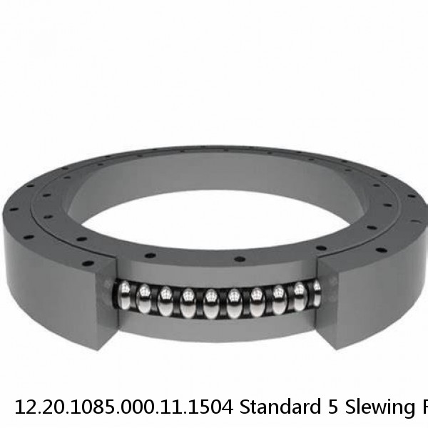 12.20.1085.000.11.1504 Standard 5 Slewing Ring Bearings