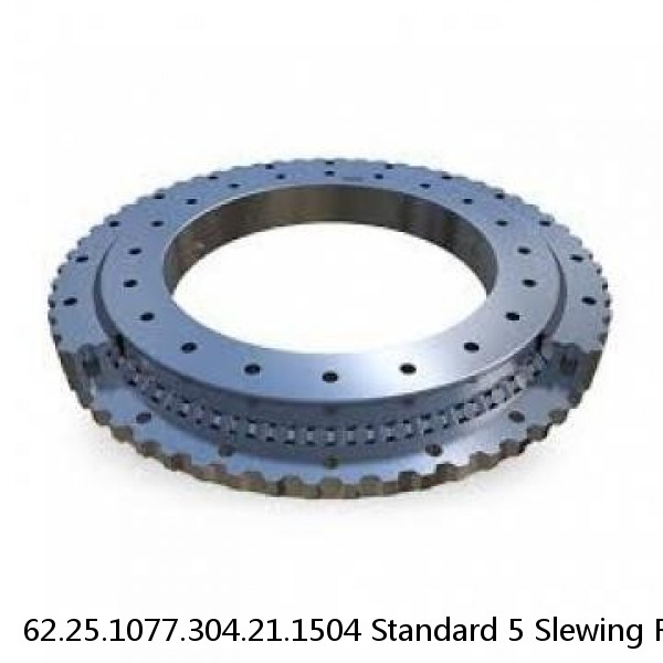 62.25.1077.304.21.1504 Standard 5 Slewing Ring Bearings