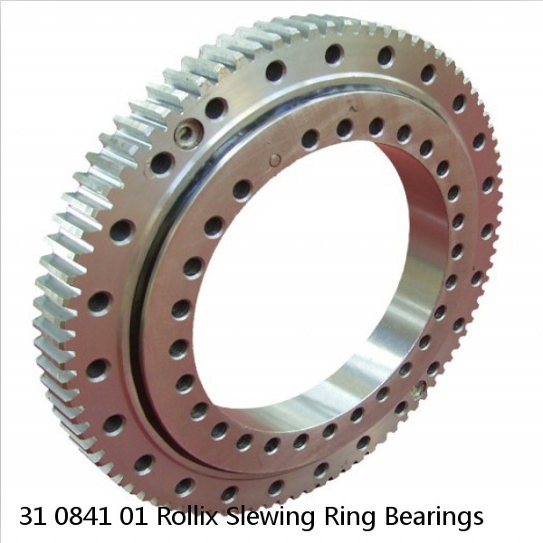 31 0841 01 Rollix Slewing Ring Bearings