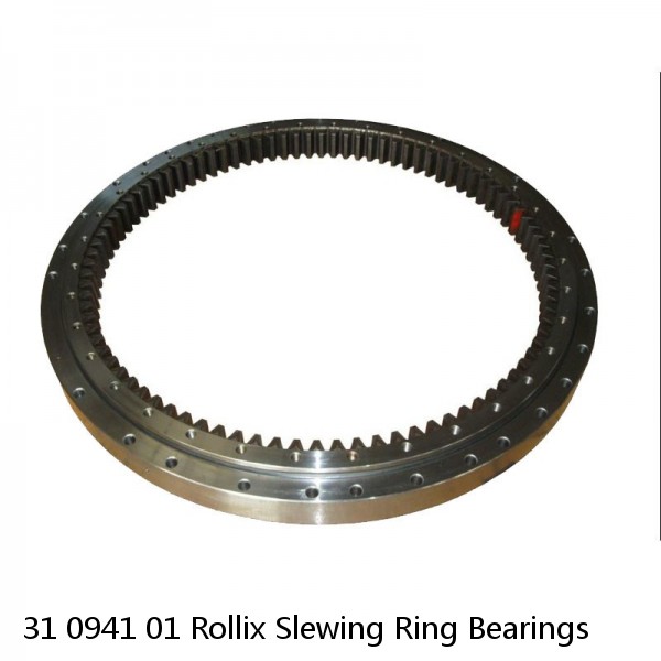 31 0941 01 Rollix Slewing Ring Bearings