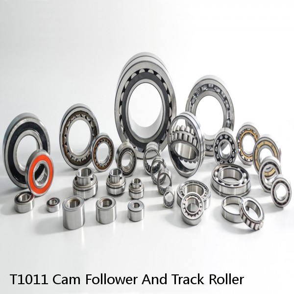 T1011 Cam Follower And Track Roller