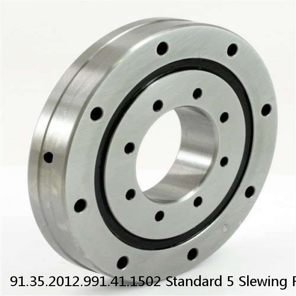 91.35.2012.991.41.1502 Standard 5 Slewing Ring Bearings