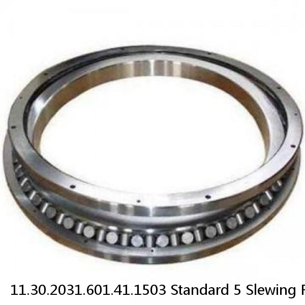 11.30.2031.601.41.1503 Standard 5 Slewing Ring Bearings