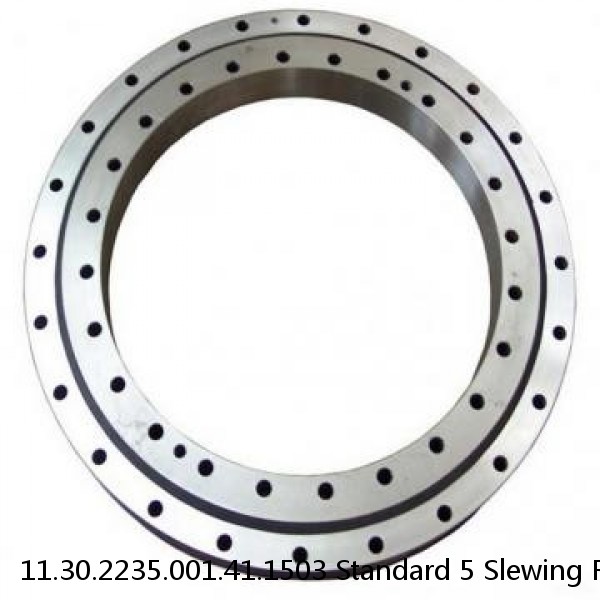 11.30.2235.001.41.1503 Standard 5 Slewing Ring Bearings