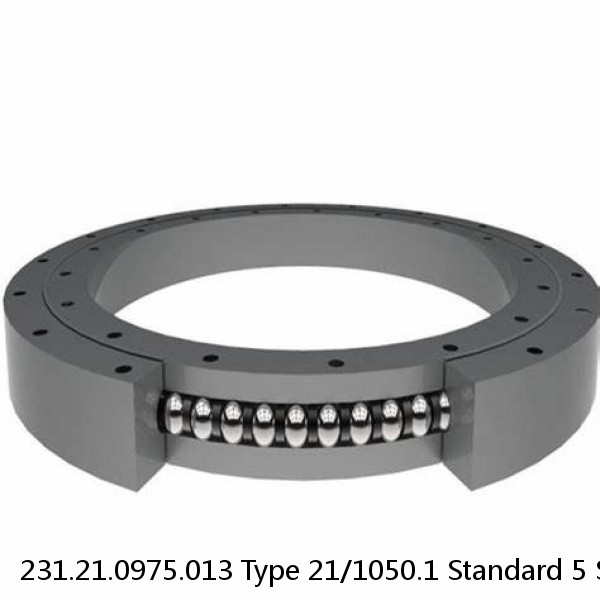 231.21.0975.013 Type 21/1050.1 Standard 5 Slewing Ring Bearings