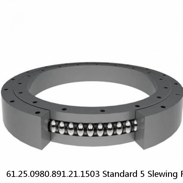 61.25.0980.891.21.1503 Standard 5 Slewing Ring Bearings