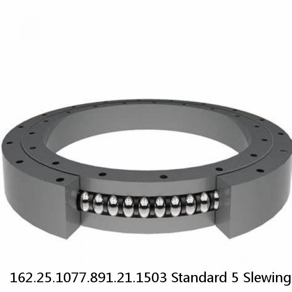 162.25.1077.891.21.1503 Standard 5 Slewing Ring Bearings