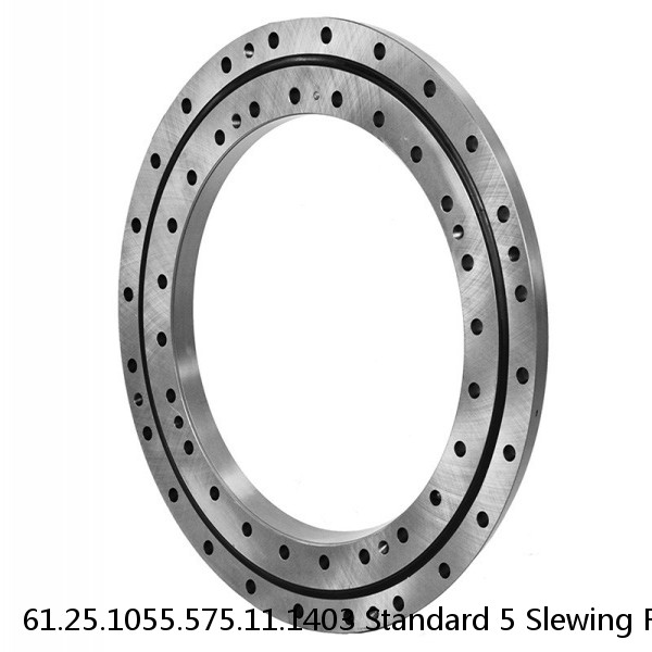 61.25.1055.575.11.1403 Standard 5 Slewing Ring Bearings