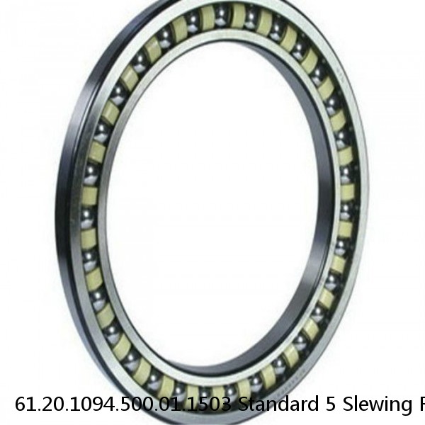 61.20.1094.500.01.1503 Standard 5 Slewing Ring Bearings