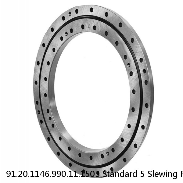 91.20.1146.990.11.1503 Standard 5 Slewing Ring Bearings