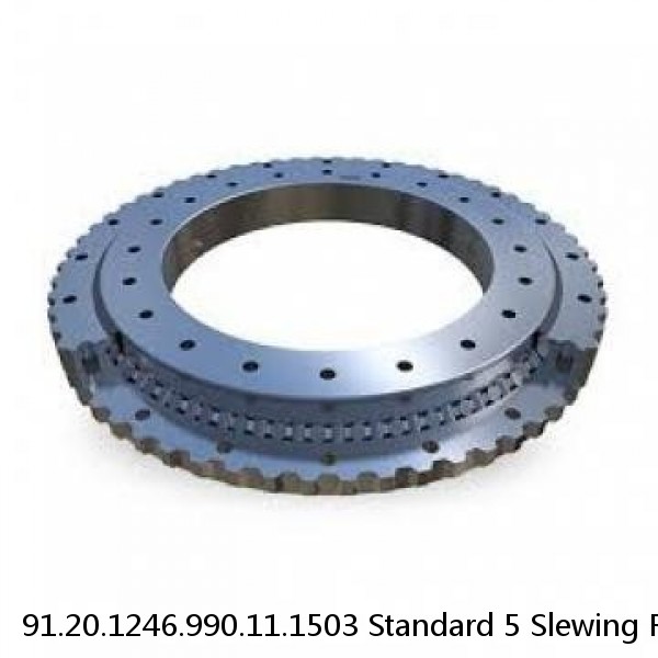 91.20.1246.990.11.1503 Standard 5 Slewing Ring Bearings