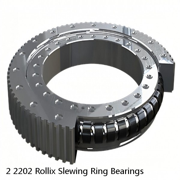 2 2202 Rollix Slewing Ring Bearings