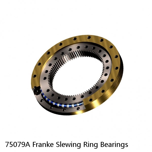 75079A Franke Slewing Ring Bearings