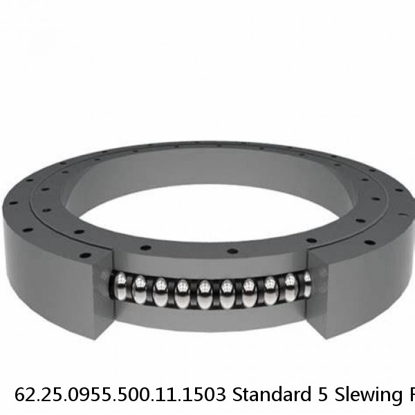 62.25.0955.500.11.1503 Standard 5 Slewing Ring Bearings