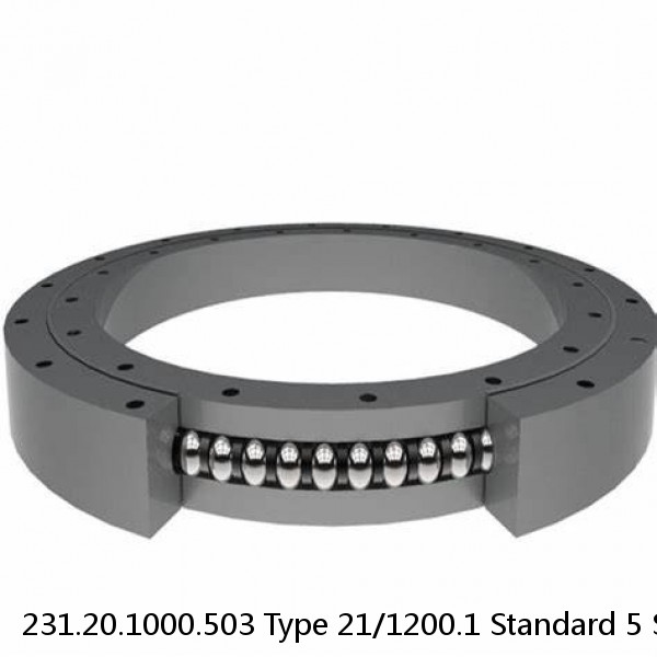 231.20.1000.503 Type 21/1200.1 Standard 5 Slewing Ring Bearings