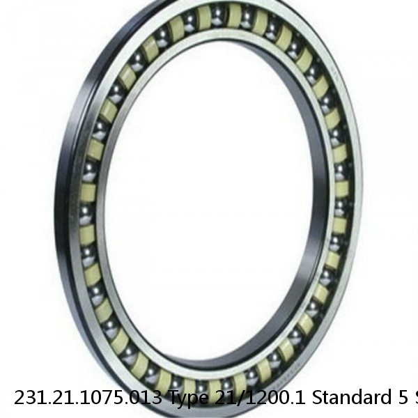 231.21.1075.013 Type 21/1200.1 Standard 5 Slewing Ring Bearings