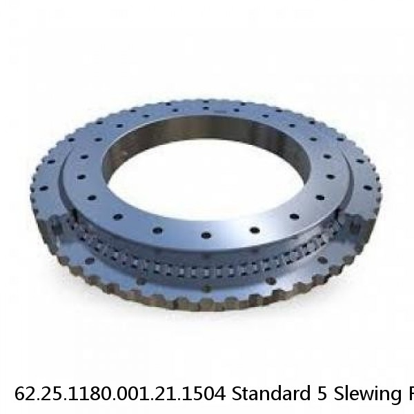 62.25.1180.001.21.1504 Standard 5 Slewing Ring Bearings