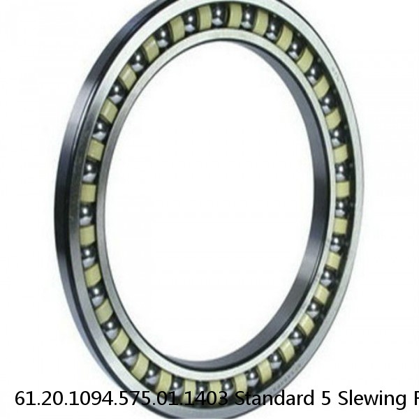 61.20.1094.575.01.1403 Standard 5 Slewing Ring Bearings