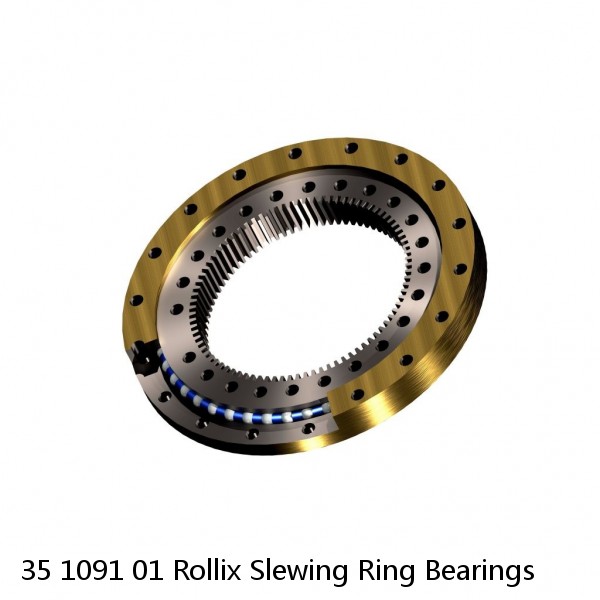 35 1091 01 Rollix Slewing Ring Bearings