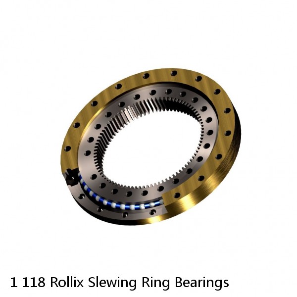 1 118 Rollix Slewing Ring Bearings