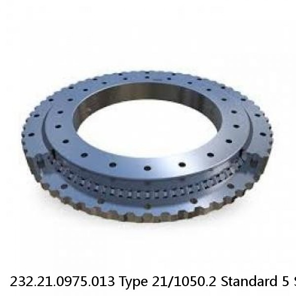 232.21.0975.013 Type 21/1050.2 Standard 5 Slewing Ring Bearings