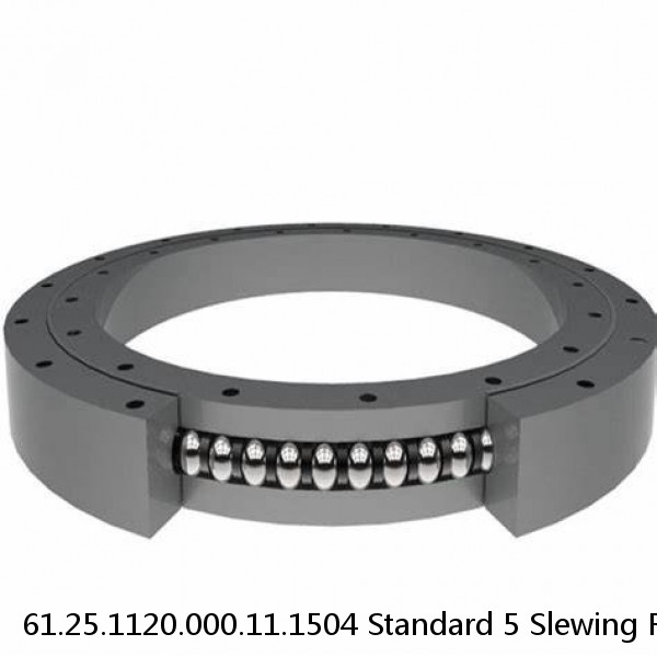 61.25.1120.000.11.1504 Standard 5 Slewing Ring Bearings