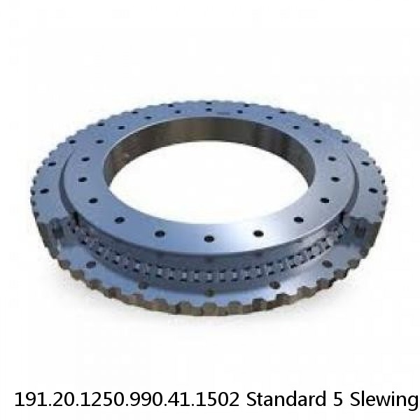 191.20.1250.990.41.1502 Standard 5 Slewing Ring Bearings