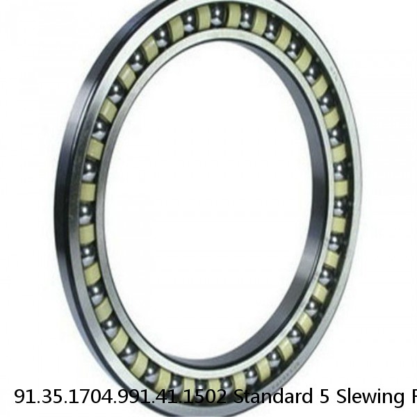 91.35.1704.991.41.1502 Standard 5 Slewing Ring Bearings