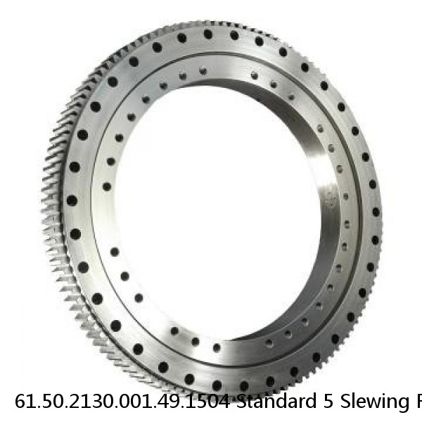 61.50.2130.001.49.1504 Standard 5 Slewing Ring Bearings