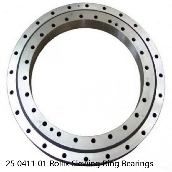 25 0411 01 Rollix Slewing Ring Bearings