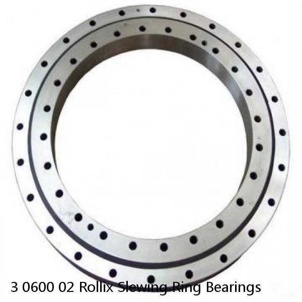 3 0600 02 Rollix Slewing Ring Bearings