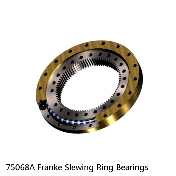 75068A Franke Slewing Ring Bearings