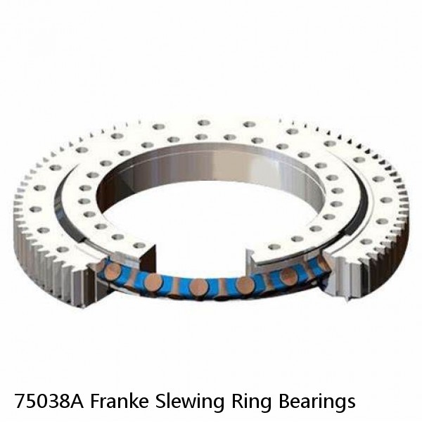 75038A Franke Slewing Ring Bearings