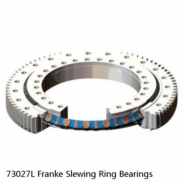 73027L Franke Slewing Ring Bearings