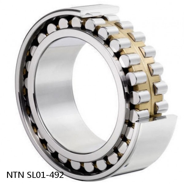 SL01-492 NTN Cylindrical Roller Bearing