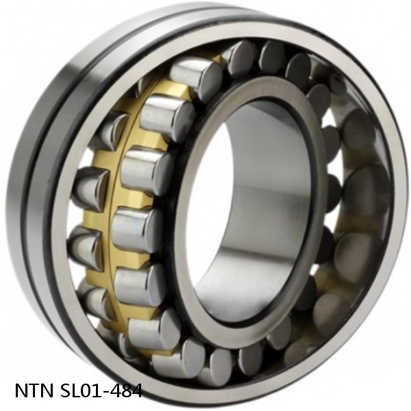 SL01-484 NTN Cylindrical Roller Bearing