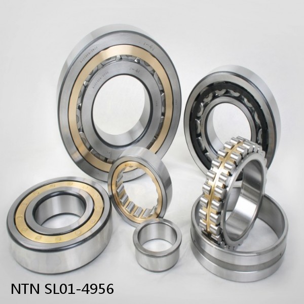 SL01-4956 NTN Cylindrical Roller Bearing