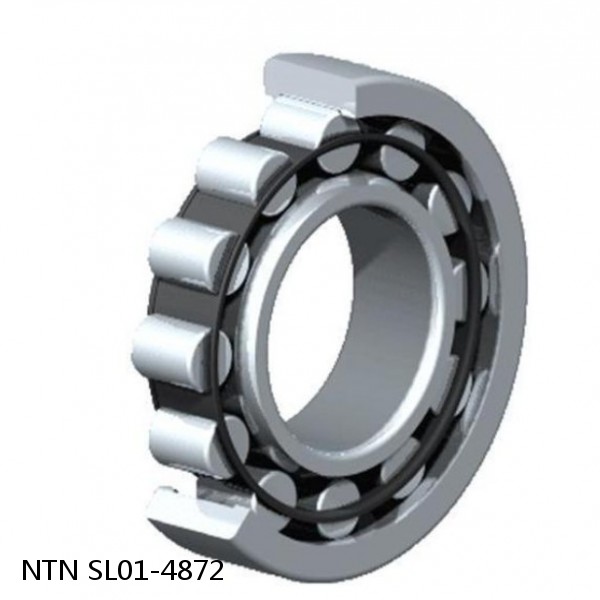 SL01-4872 NTN Cylindrical Roller Bearing