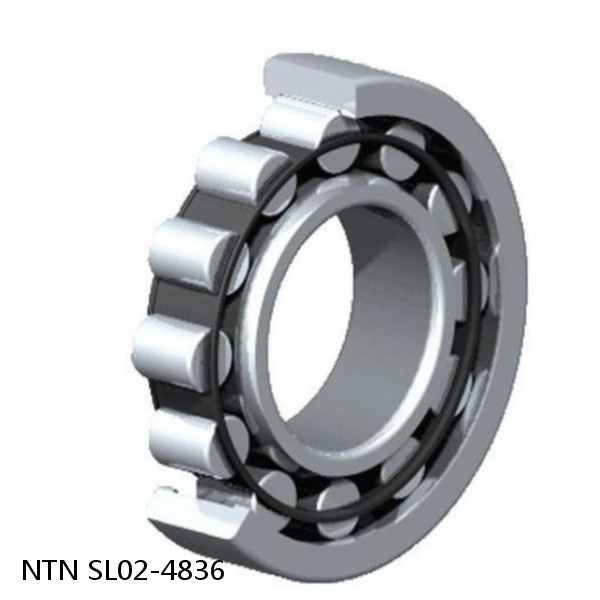 SL02-4836 NTN Cylindrical Roller Bearing