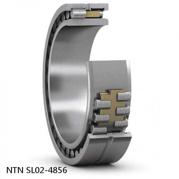 SL02-4856 NTN Cylindrical Roller Bearing