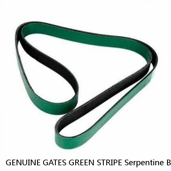 GENUINE GATES GREEN STRIPE Serpentine Belt Gates K080605