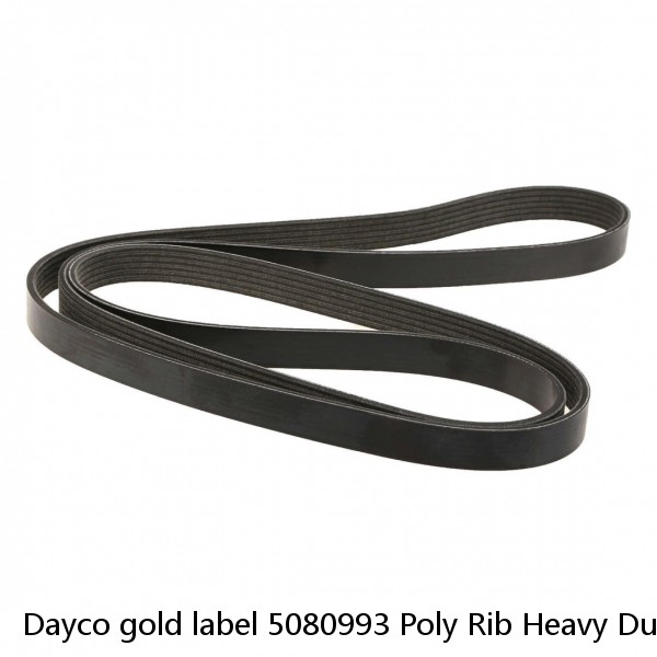 Dayco gold label 5080993 Poly Rib Heavy Duty Belt 8pk2520 ~ FORD F-150 5.4L